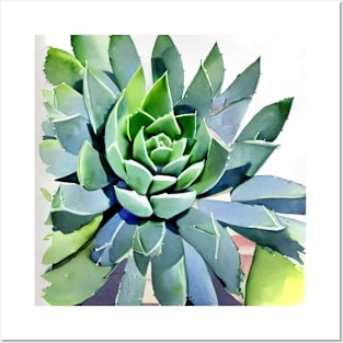 Watercolor succulent Posters and Art